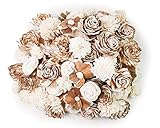 Sola Wood Flowers - Random Assortment (Bark) - 100 pcs, Artificial Flowers for Decoration, Flower Bouquets, Centerpieces, DIY Home Decor and Craft Supplies