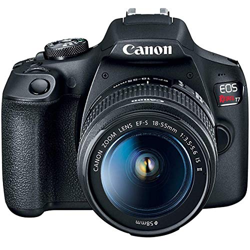 Image of Canon EOS Rebel T7 DSLR Camera with EF-S 18-55mm F3.5-5.6 is II Lens Essential Accessory Bundle with Deco Gear Photography Gadget Bag + 32GB + CPS Protection Pack + Editing Software & Maintenance Kit
