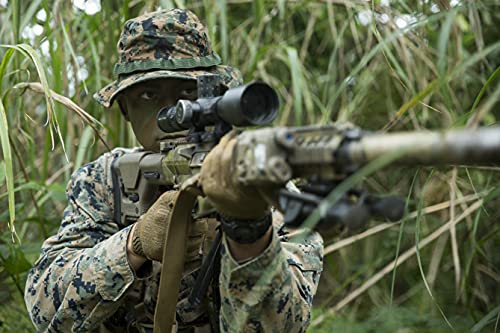 Wall Art Impressions 24x16in Coated Paper U.S. Marine Corps Cpl Scout Sniper