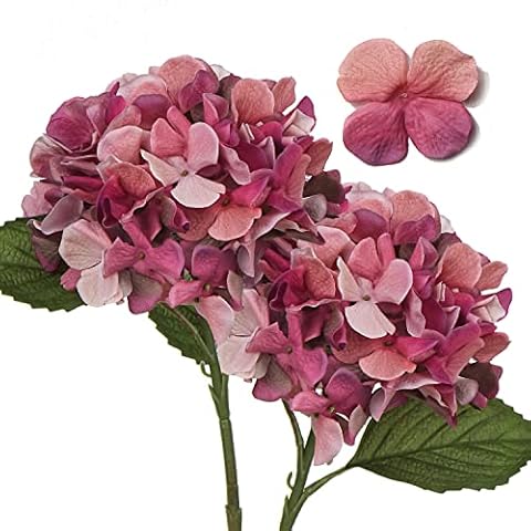 Hollyone Hortensia Artificiel 43cm Cover