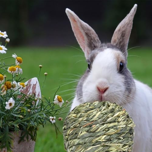 Toys D'activité Pour Les Petits Animaux - Bunny Mâcher Des Pour Les – vue 2