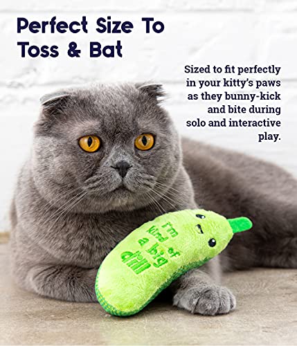 Petstages Crunchy Pickle Kicker Dental Catnip Cat Toy #TOP5
