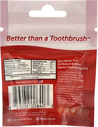 Epic Xylitol Mints - Sugar Free & Aspartame Free Mints Sweetened W/Xylitol For Dry Mouth & Gum Health (Cinnamon, 40-Piece Pouch, 10 Pouches) #TOP4