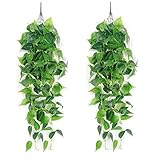 plantas verdes artificiales amazon Tamaño y embalaje: 2 paquetes de plantas colgantes artificiales verdes, y la longitud total de las plantas colgantes artificiales es de aprox. 3,6 m. Aproximadamente 198 hojas verdes falsas por paquete. Cada hoja verde tiene muchos tallos que le dan un aspecto muy vivo y tridimensional. Nota: no hay cestas.