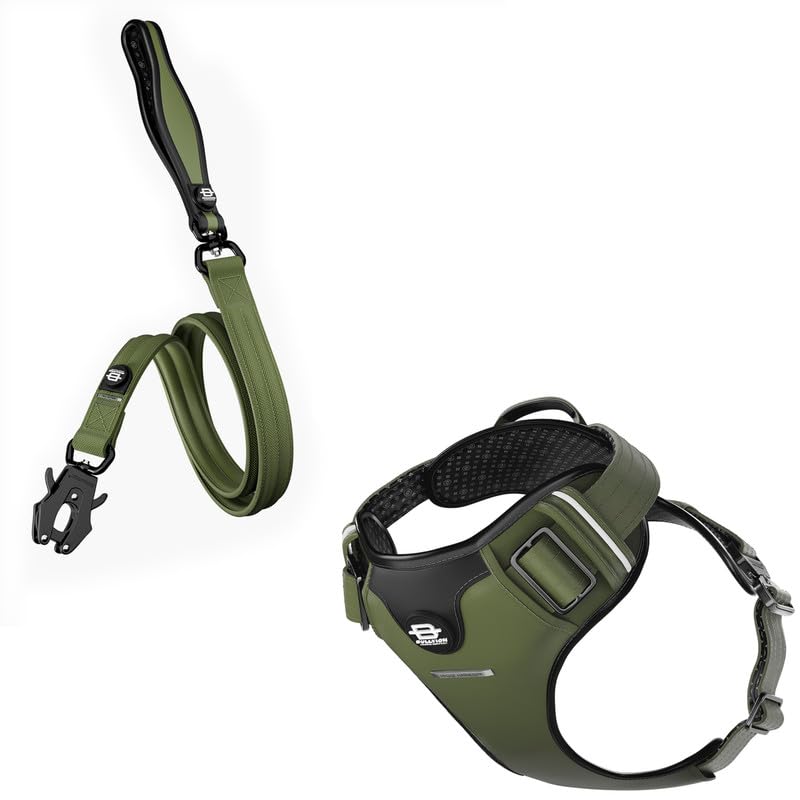 Bullyion ® Original Equipment Hygge Harness & All Action DUAL SWIVEL LEAD – Softcell Padding, Adjustable Fit – Durable Lead – Anti Tangle - Lockforce Metal Buckle & Clasp (COMMANDO KHAKI - Size C)