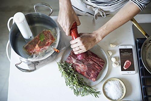 joule sous vide circulator