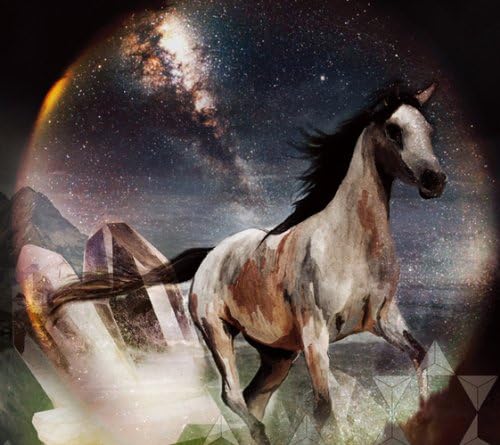 Decoder Ring They Blind The Stars And The Wild Team