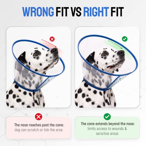 Image of SILVER GRADE Dog Cone Collar for Recovery, Size XL, Neck Girth 16.1-18.9 in