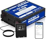 DC HOUSE – DCHOUSE 48V 50Ah LiFePO4 Golfwagen Bluetooth Batterie, mit 1