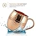 Deco 89 18 Ounce Drinking Mug, Set of 4 Moscow Mule Hammered Copper