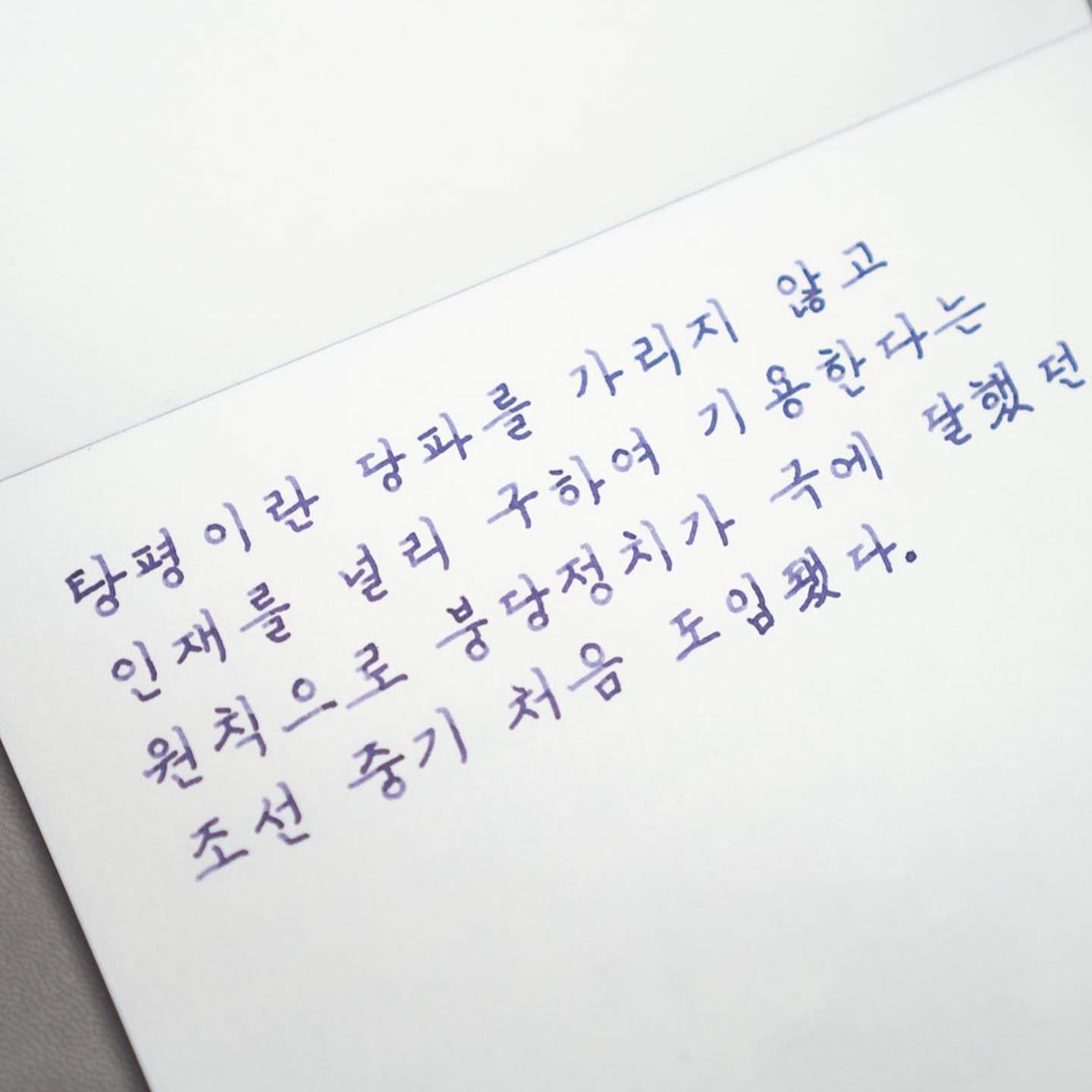 Colorverse Project Ink Vol. 3 - Kingdom Series - No.020 tang pyeong (30ml) Fountain Pen Ink