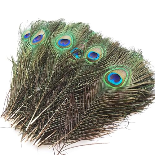 GOBIWM Lot de 15 plumes de paon artificielles naturelles - Plumes de paon décoratives - Longues plumes de paon naturelles - Pour bricolage, costumes, chapeaux, travaux manuels, décoration d'intérieur