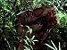 The Lost World Season 1