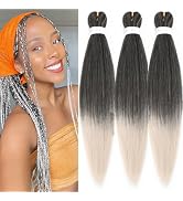 Braiding Hair Pre Stretched Hair Extensions for Braids Ombre Gray silver Braiding Synthetic Braid...