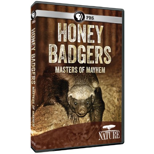 Nature: Honey Badgers: Masters of Mayhem
