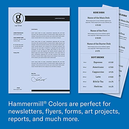 Hammermill Colored Paper, 20 Lb Orchid Printer Paper, 11 X 17-1 Ream (500 Sheets) - Made In The Usa, Pastel Paper, 103804R #TOP5