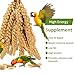 2LB Millet Spray for Birds Parakeets Treats - All Natural Sun-Dried Spray Millet for Parakeets, Cockatiel, Budgie, Finches, Parrots, Hamster, 100% Non GMO Dried Fresh Bird Seed