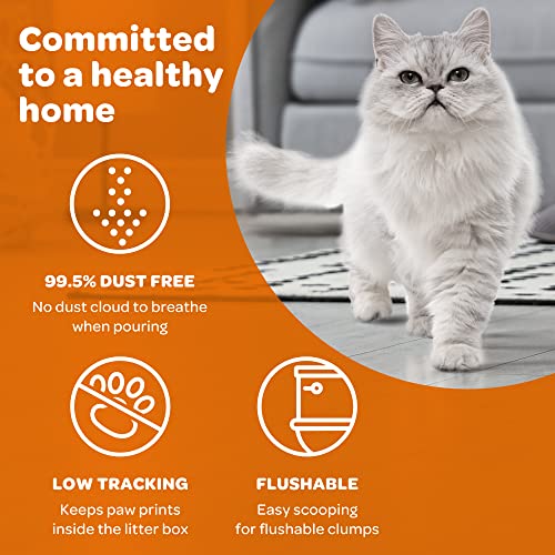 Premium Natural Wheat Cat Litter for Odor Control, 36lb Bag