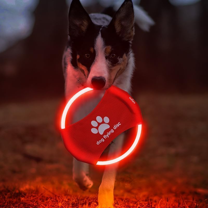 DoggKKin LED Rechargeable Dog Frisbee - Glowing Flying Disc for Night Play - Durable Waterproof LED Dog Toy for Outdoor Training - Perfect for Backyard, Park & Beach Fun (Red)
