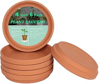 4 Inch Small Terracotta Pot Plant Saucer - 6 pcs Small Round Plant Pot Saucers, Small Clay Plant Trays Perfect for 3 Inch 3.5 Inch 4 Inch Flower Pot with Drainage Hole and Great for Indoor or Outdoor