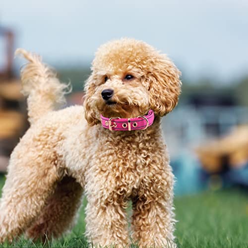 Collar para perro con neopreno acolchado y cierre de hebilla, mediano rosa miniatura 7