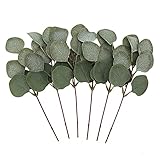 LinTimes 6pcs Eukalyptus Künstlich Kunstpflanze in Grün für Hochzeitsdeko, Silber Dollar Eukalyptus für Partydekorationen und Grün Heimdekoration
