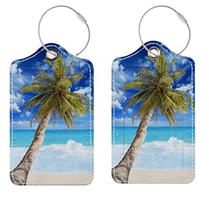 Luggage Tags for Suitcases, 2 Pack Cute PU Leather Suitcase Tag Identifiers TSA Approved with Stainless Steel Loop and Address Card for Baggage Tag for Cruise Airport Travel Essentials by Chelmon