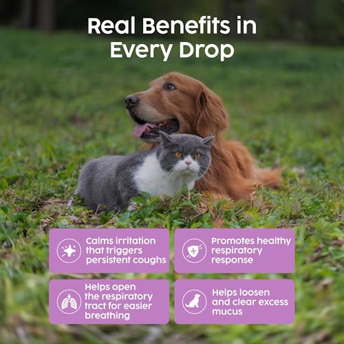Kennelhoestmedicijn voor honden en katten, behandeling van verkoudheid en luchtweginfecties bij katten, verlichting van niezen, verkoudheid en neusverstopping bij huisdieren, volledig natuurli - Afbeelding 4
