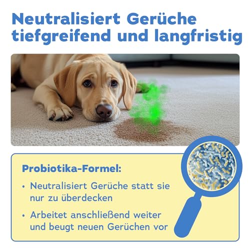 bio-chem Hunde Geruchsentferner Spray 750 ml - Enzymreiniger mit Mikroorganismen - Geruchsneutralisierer gegen Hundeurin Geruch - Entfernt Gerüche aus Sofa, Teppich, Polster nachhaltig - Made in DE