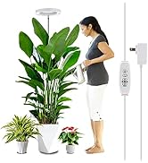 WaterRebirth 6.3 inch Grow Lights for Indoor Plants,Large Plant Light with 3 Timers, 10 Level Dim...
