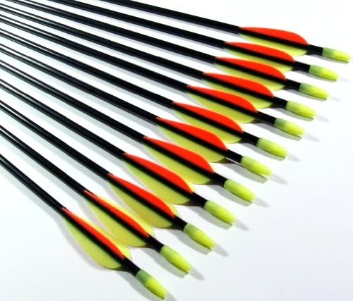 Shiny Black Fiberglass Target Practice Arrows 24" for Youths (1 Dozen)