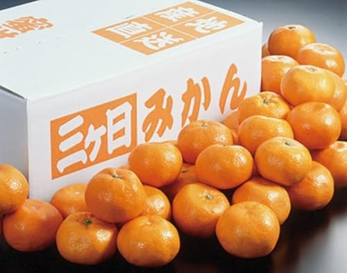 2025NΕ ÉY OP݂ 3kg