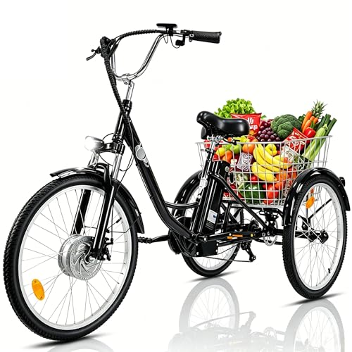 Fanesen E Bike Dreirad für Erwachsene 24 Zoll Elektro Dreirad für Herren und Damen 3 Rad Elektrofahrrad mit 36V 15Ah Lithium Akku 250W Motor lastenfahrrad LCD-Display Geschwindigkeit 25 KM/H
