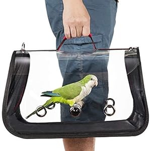 Colorday Lightweight Bird Carrier for Travelers, Bird Travel cage with Parrot Feeder Cups & Standing Perch and Tracy (Medium 16 x 9 x 11, Red) Patented Product