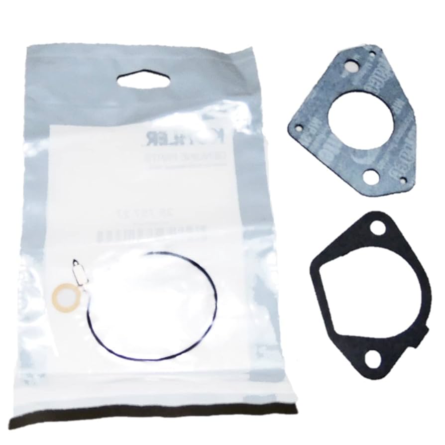 Amazon.com: QUICKIEPARTS 25 757 27-S Carburetor Overhaul