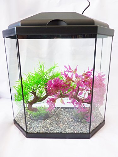 Vision Aquarium 30 Acquario completo con luce a