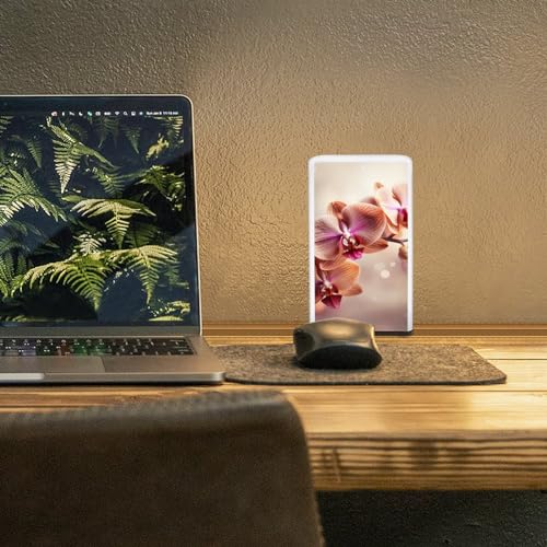 Lampe de bureau à piles avec intensité variable pour la lecture - 7