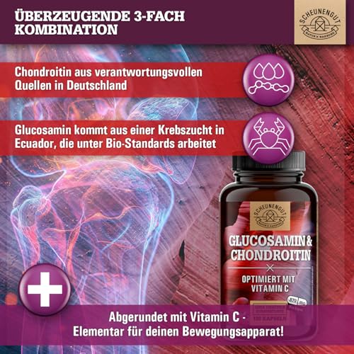 Glucosamin Chondroitin Hochdosiert -2630mg pro Tagesdosis- mit Vitamin C für eine normale Kollagenbildung* für Knochen & Knorpelfunktion -Hochdosiert- Laborgeprüft DE SCHEUNENGUT®