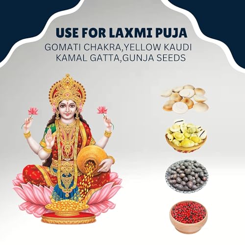 Image of BrijBooti Combo Pack of Gomti Chakra - Pili Kaudi - Kamal Gatta - Gunja Seeds 11 Pieces Each for Lakshmi Pooja, Wealth & Luck