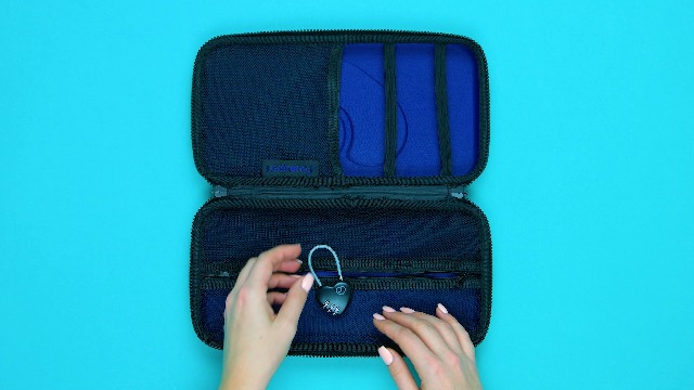Lovehoney Black Lockable Case for Toys - 12.5 x 6.5 x 2.75" with Mesh  Pocket and Elasticated Straps - Medium : Amazon.co.uk: Health & Personal  Care
