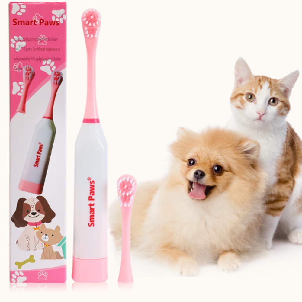 An Electric Toothbrush For Your Dog