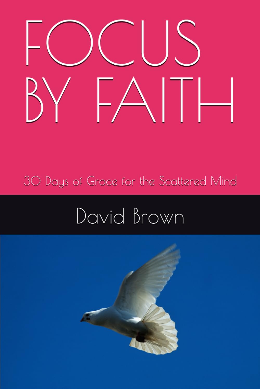 FOCUS BY FAITH: 30 Days of Grace for the Scattered Mind