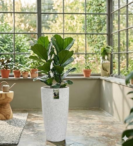 Image of Harshdeep Roto Planter - Venice - Indoor Outdoor Home Balcony Garden Decorative Round Durable Light Weight Stone Finish Plant Pot Dia 11 Inch Height 22 Inch (White Stone)