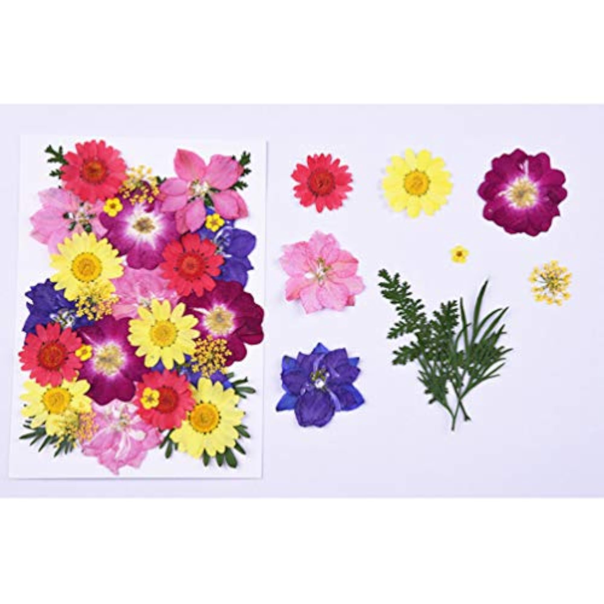 30 Pcs Dried Flowers Charms for DIY Art Crafts Decoration