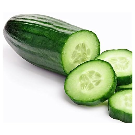 Grown in USA! 30+ Muncher Burpless Sweet Cucumber Seeds, Heirloom Non-GMO, Non-Bitter and Acid Free, Crispy and Sweet, Fragrant and Delicious, Cucumis sativus