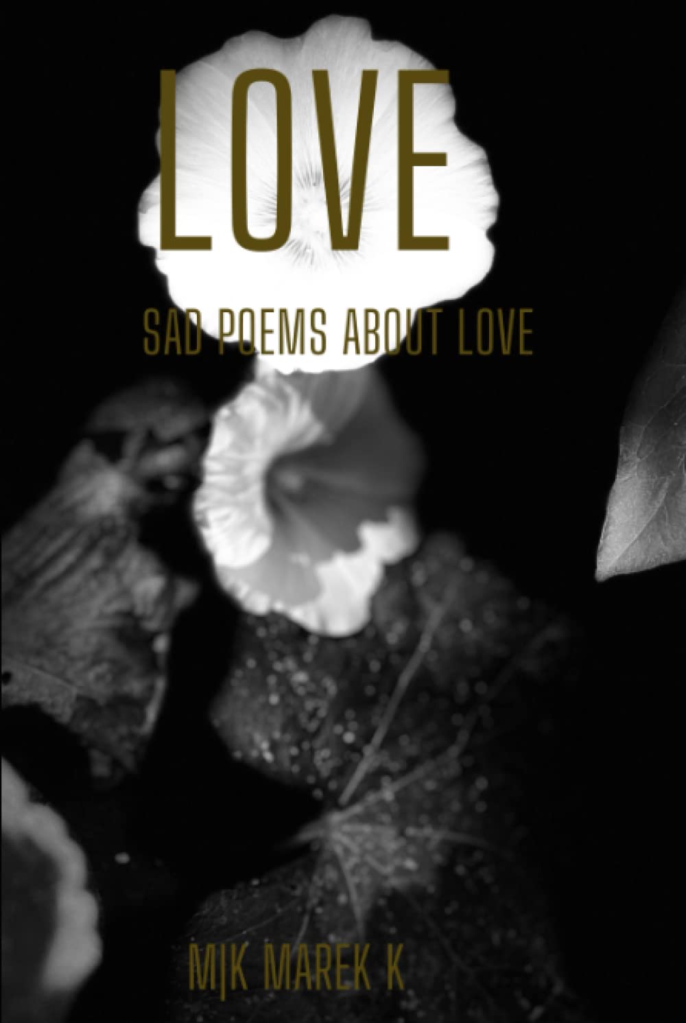 love: Sad poems about love