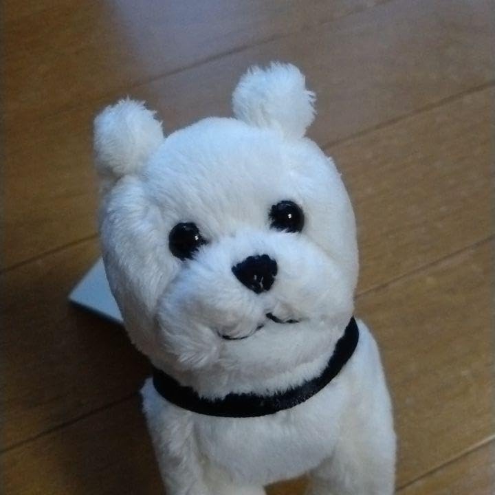 Amazon.co.jp: 国立科学博物館 忠犬ハチ公 マスコット ぬいぐるみ ハチ