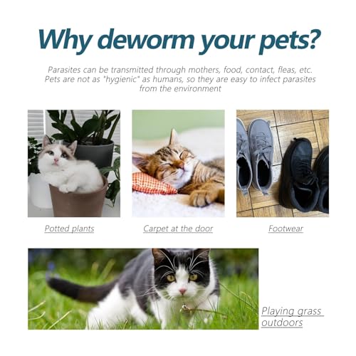 Pet Anti- und Zeckenmittel für Katzen und Hunde, externe Hautreinigung, Läuse und Zeckentropfen, 50 ml, tiefenreinigender Teppich (Weiß, Einheitsgröße)