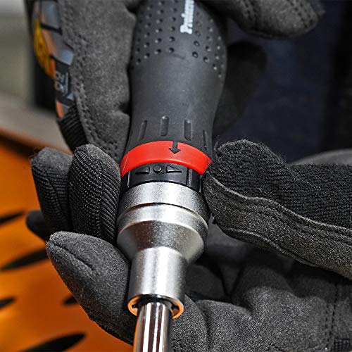 Proferred T29004 19Piece-In-1 Ratcheting Interchangeable Bit Screwdriver Set (1 Set)