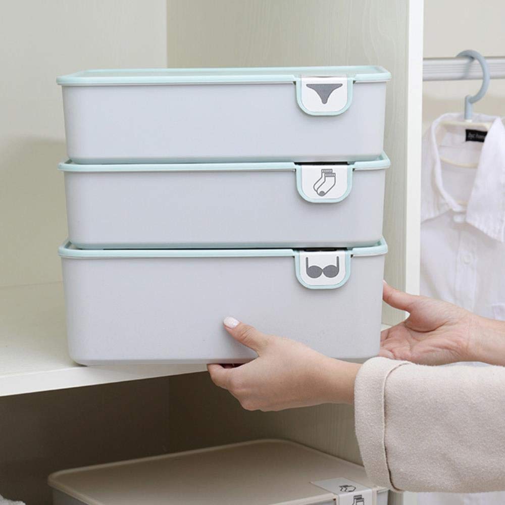 Cabilock 1pezzi Portatile Contenitore Per Biancheria Intima Scatola Per Riporre Vestiti e Reggiseni Organizer Multiuso Per Armadio Cassettiera o Armadio